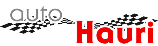 Auto Hauri